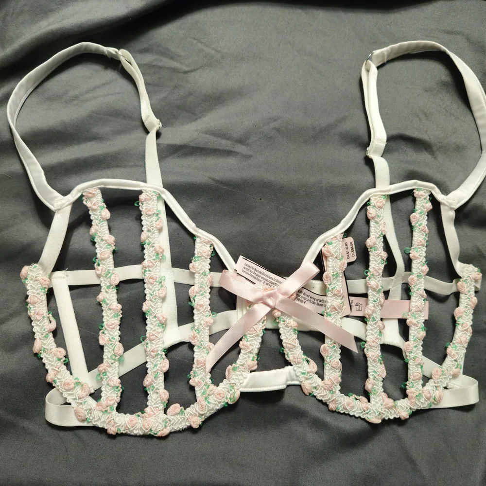 Victoria's Secret Dream Angels Secret Garden White and Pink Embroidered Bra - Picture 1 of 4